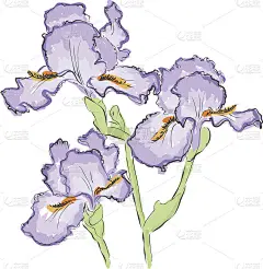 手绘花。矢量插图上的白色背景。