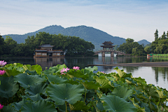 桃仁脆饼采集到西湖