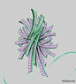 【珠宝首饰手绘自学宝典】 (豆瓣)@北坤人素材