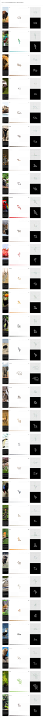 30天与30个象形文字动物创意Logo | Marcin 设计圈 展示 设计时代网-Powered by thinkdo3