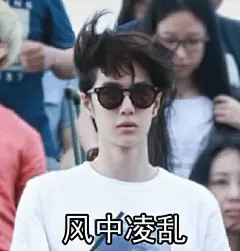 风中凌乱 王一博 表情包