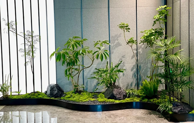 室内植物造景，律所案例-花瓣网
