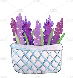 薰衣草篮子，水彩画手绘装饰和设计的卡片，邀请，海报，横幅。