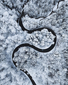 糖荳采集到风景