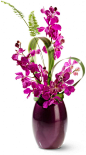 Loves Sweet Dream.   Only 4 orchid stems,  this arrangement is do-able and so impressive.: 