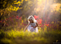 【美图分享】Jake Olson Studios的作品《Autumn Light》 #500px#