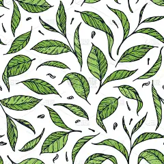 茶叶无缝图案。手绘矢量插图。包装设计。鲜艳的绿色模式。