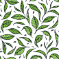 茶叶无缝图案。手绘矢量插图。包装设计。鲜艳的绿色模式。