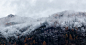 Mountain Surrounded by Trees With Snows · Free Stock Photo