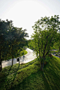 东莞中心公园：还原地域生态人文的城市绿心 / 翰博设计 – mooool木藕设计网