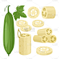 Luffa_sponge