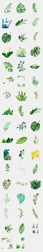 森系北欧热带雨林手绘水彩树叶绿植设计元素