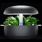 The 18 built-in LED lights are optimally balanced for growing herbs, greens and flowers indoors, and the irrigation system feeds moisture to the plant 0-8 times a day.: 