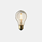 Light Bulbs : Light Bulbs Ever since Thomas Edison introduced the world to light bulbs, these handy devices have changed the way we live in our homes, businesses, and society. Light bulbs have come a long way since the days when only incandescent bulbs we