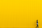 yellow-839834.jpg (5852×3901)