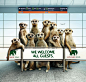 Zoo Cologne科隆动物园创意广告（三）：动物接机篇