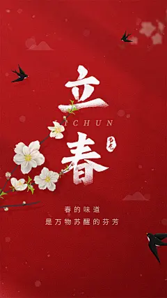 品质立春节气宣传海报