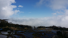 且听雨聆采集到元阳梯田