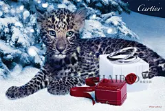 森林中的寻宝之旅！卡地亚 (Cartier) 2012年冬季微电影，与小猎豹一起畅游冰雪世界吧！_卡地亚_卡地亚_海报时尚网