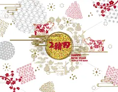 猪,2019,贺卡,春节,华丽的,传统,壁纸,传统节日,问候