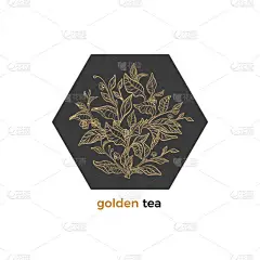 矢量金色会徽。艺术线条的自然设计。象征精美的茶树、灌木、树枝、叶子、花朵的卡片。几何框架, 草本饮料