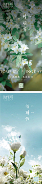 【源文件下载】 海报 中国传统节日 清明节 花 系列设计作品 设计图集