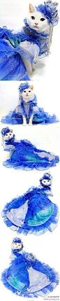 贵妇人 http://faxian.ccitimes.com/note.php?action=g&sid=10411&id=9899