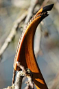 Primitive Archer Kingfisher: 60# @ 28" Osage Static with Brush Nocks 54" (PIC HEAVY!)