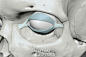 From Simple To Complex - Eye01.jpg
