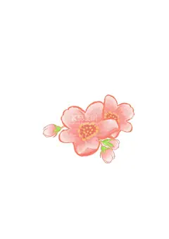 手绘桃花  - 源文件下载【酷图网】手绘,桃花,浪漫,粉色,桃子