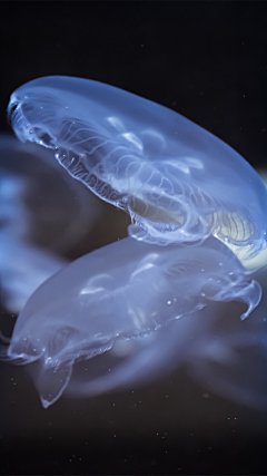 【高清手机壁纸。风景美图。城市风光摄影。设计灵感。桌面锁屏。日系韩系欧美。小清新。】❤️