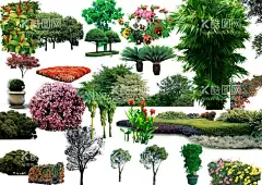 树  - 源文件下载【酷图网】树,树木,免抠,大树,绿树,橡树,红树,银杏,枫树,云杉,白杨,松树,黑杨,胡椒树,白蜡树,柳树,洋槐,樱花,榕树,光蜡树,毛果树,灌木,棕榈树,智南柏,柏树,榆树,榉树,装饰树,插画树,