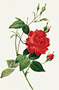 06a0d1a3ee61ccfc3cf0ab5377f571a320de0405270ac-Z1cCXn_fw658