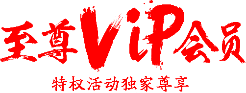 双11
