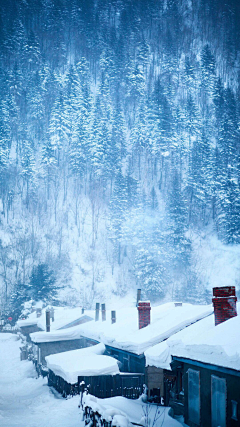 翠玉竹林采集到雪景