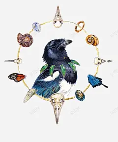 手绘鸟 免抠png 设计图片 免费下载 页面网页 平面电商 创意素材