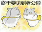 来自相册