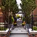 Courtyard Home Design Ideas, Pictures, Remodel and Decor
