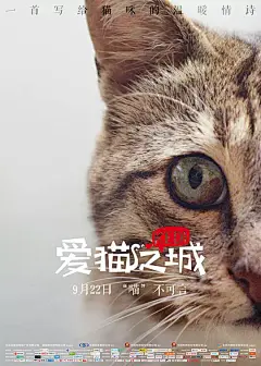 爱猫之城 Kedi 海报