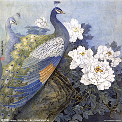 绯色童话采集到国画
