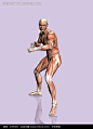 做格斗动作的男性正面肌肉结构图图片(编号:1055455)_其他人物_人物图片_图片素材