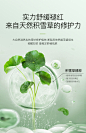 植萃清盈透润面膜4D玻尿酸补水保湿控油修护舒缓泛红肌肤官方正品-tmall.com天猫