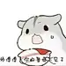 仓鼠表情包师徒_360图片
