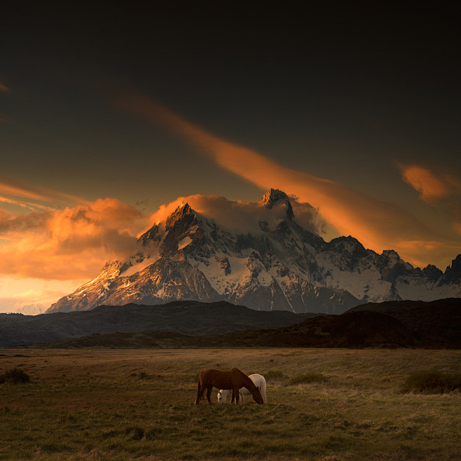Patagonia Dreaming I...