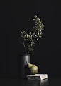 Salaposa Studio — Still Life 1