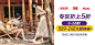 bata 钻展图 推广图