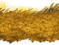 during1_f3293d5