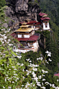 危险地栖息在帕罗，老虎窝（takshang lhakang）是不丹最神圣的寺庙。据说这是首次设立莲师是飞到这里一个母老虎在第八世纪。修道院伸一个几乎垂直的悬崖壁 