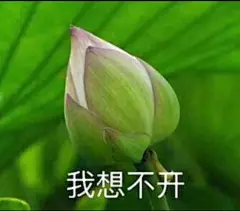 沙雕老年人心平气和表情包