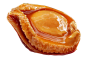 鲍鱼png (2)